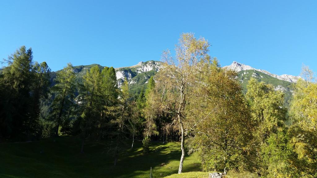 Ferienwohnungen Rauth Лойташ Экстерьер фото